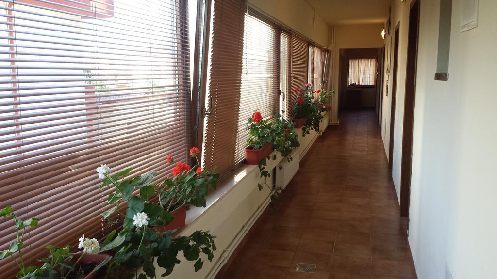 Năvodari Hostel Nova Route מראה חיצוני תמונה